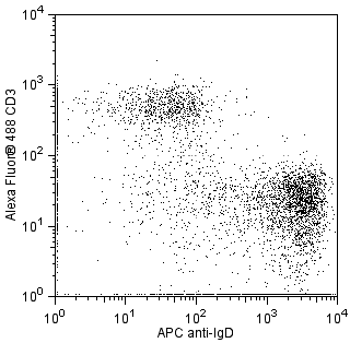 BD APC Rat Anti-Mouse IgD