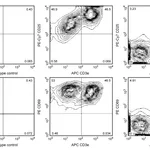 BD Mouse T Lymphocyte Activation Antibody Cocktail, with Isotype Control PE-Cy7 CD25, PE CD69, and APC CD3e