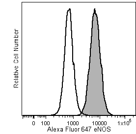 BD Alexa Fluor® 647 Mouse anti-eNOS