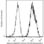 BD Alexa Fluor® 647 Mouse Anti-Human Endosialin (CD248)