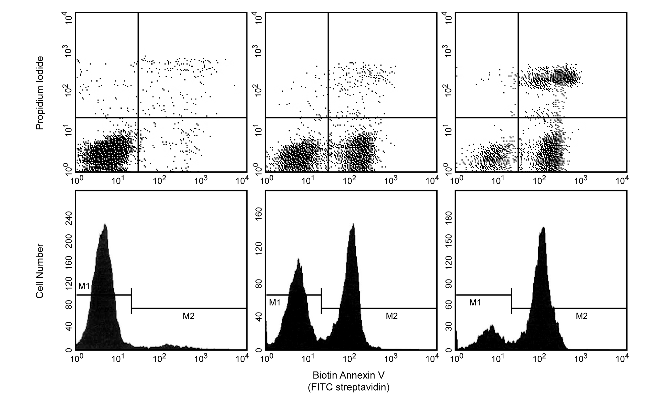 BD Biotin Annexin V