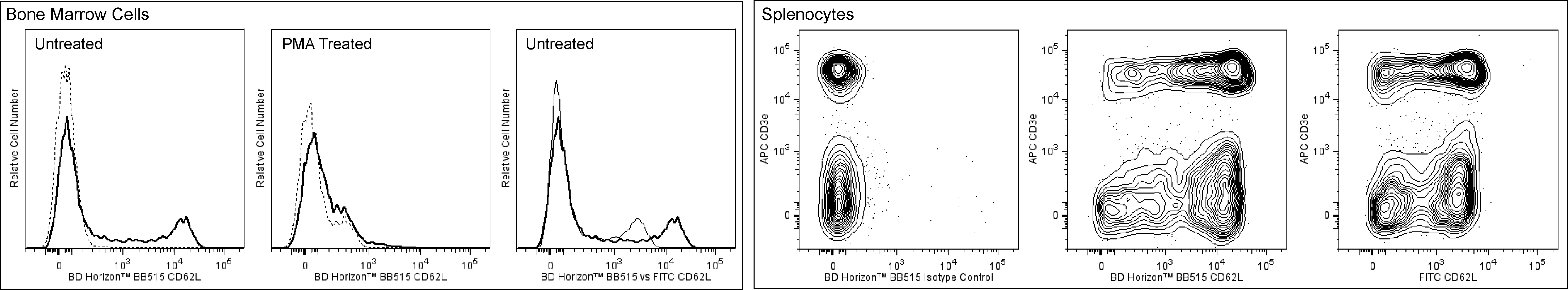 BD BB515 Rat Anti-Mouse CD62L