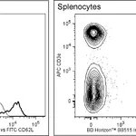 BD BB515 Rat Anti-Mouse CD62L