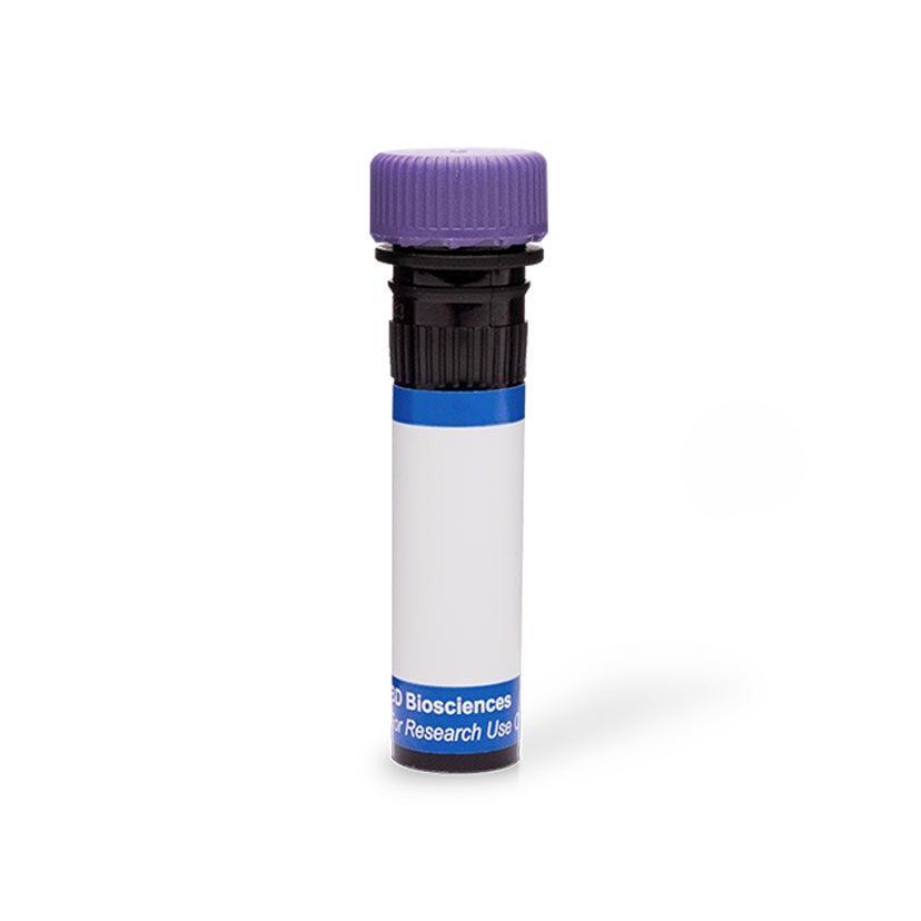 BD RB744 Mouse Anti-Human CD105 (Endoglin)