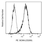 BD PE Mouse Anti-Human BCMA (CD269)