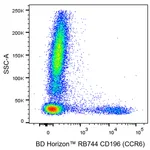 BD RB744 Mouse Anti-Human CD196 (CCR6)