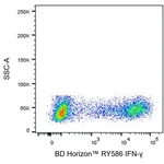 BD RY586 Mouse Anti-Human IFN-γ