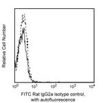 BD FITC Rat IgG2a, κ Isotype Control