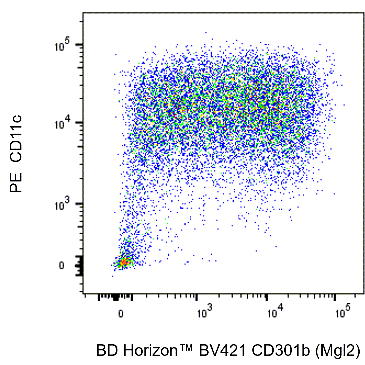 BD BV421 Rat Anti-Mouse CD301b (Mgl2)