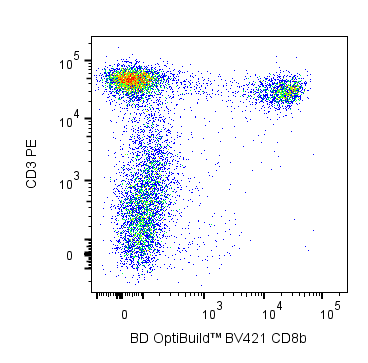 BD BV421 Mouse Anti-Rat CD8b