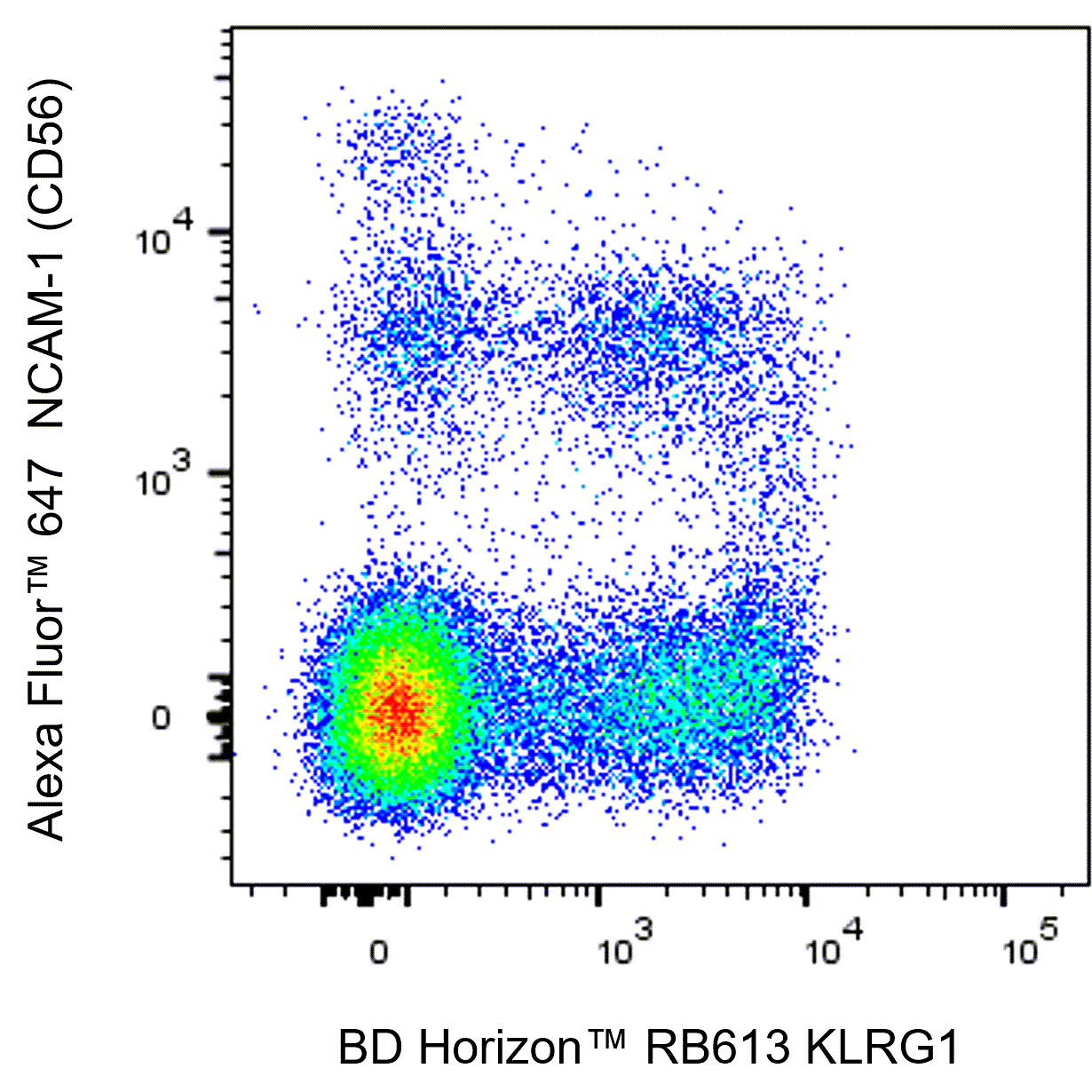 BD RB613 Mouse Anti-Human KLRG1