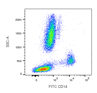 BD FITC Mouse Anti-Human CD14