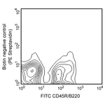 BD Biotin Rat Anti-Mouse CD25