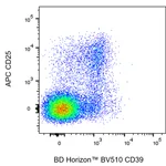 BD BV510 Rat Anti-Mouse CD39