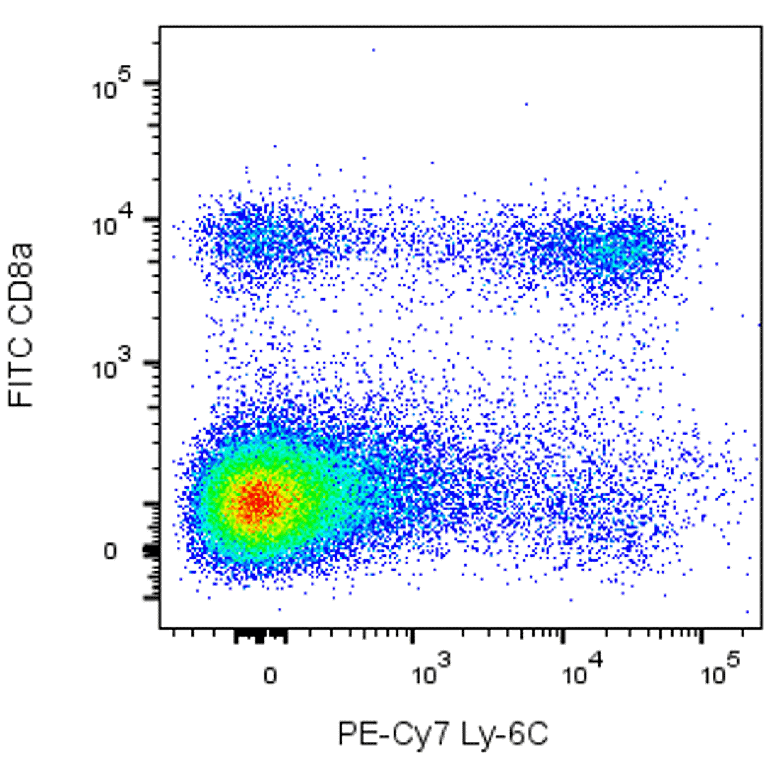 BD PE-Cy7 Rat Anti-Mouse Ly-6C