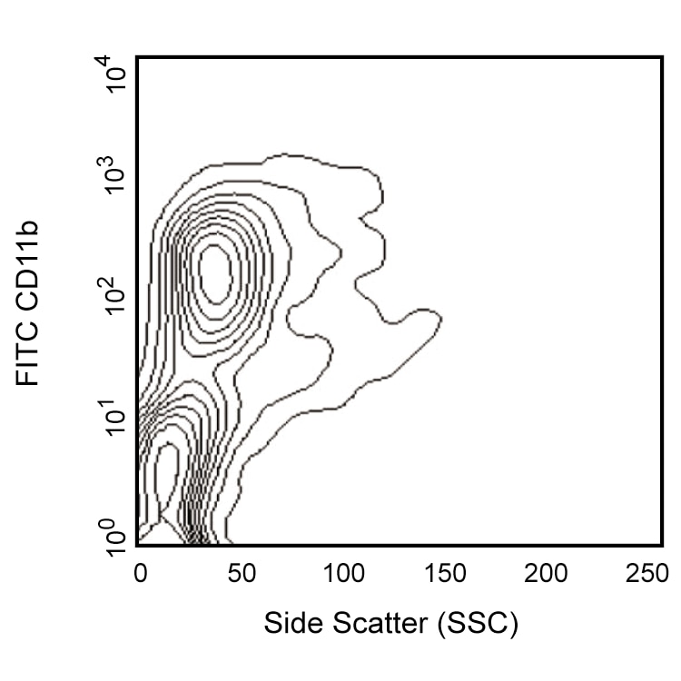 BD FITC Rat Anti-CD11b