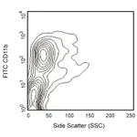 BD FITC Rat Anti-CD11b