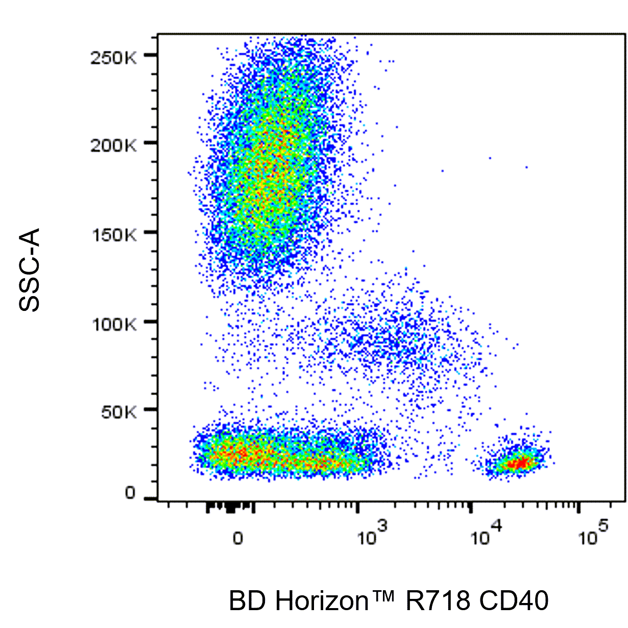 BD R718 Mouse Anti-Human CD40