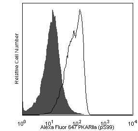 BD Alexa Fluor® 647 Mouse anti-PKA RIIα (pS99)