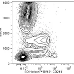 BD BV421 Mouse Anti-Human CD244