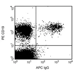 BD APC Mouse Anti-Human IgG