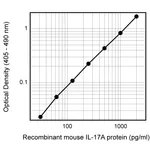 BD Biotin Rat Anti-Mouse IL-17A