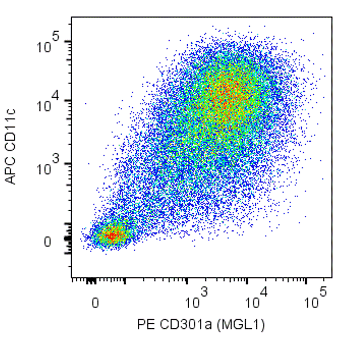 BD PE Rat Anti-Mouse CD301a (MGL1)