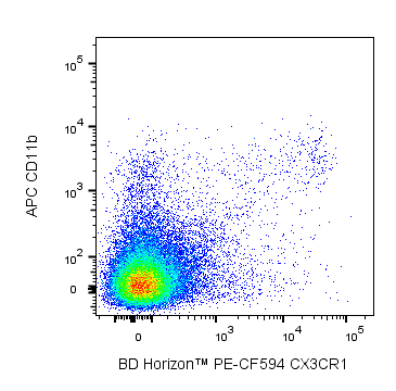 BD PE-CF594 Rat Anti-Mouse CX3CR1