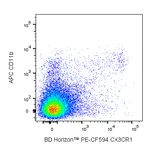 BD PE-CF594 Rat Anti-Mouse CX3CR1