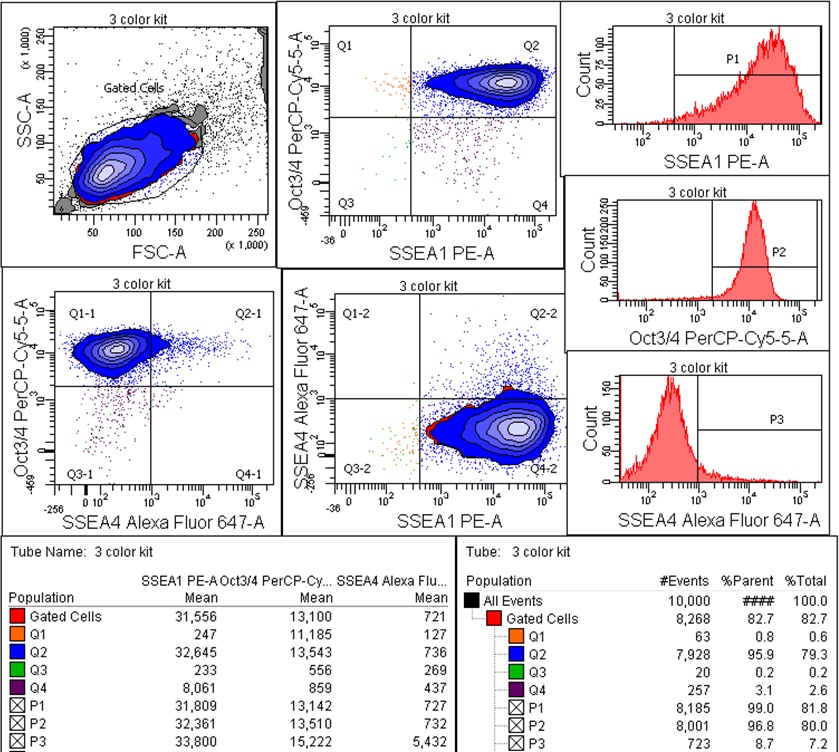 BD Human and Mouse Pluripotent Stem Cell Analysis Kit