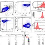 BD Human and Mouse Pluripotent Stem Cell Analysis Kit