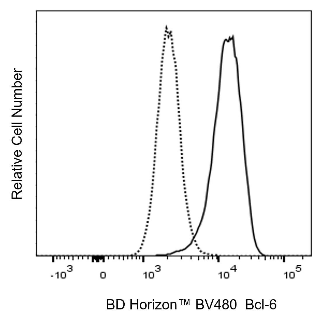 BD BV480 Mouse Anti-Bcl-6