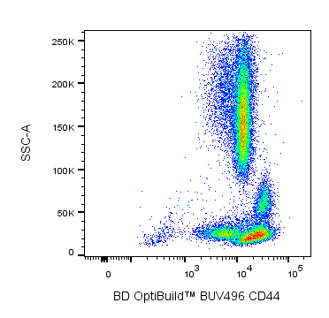 BD BUV496 Mouse Anti-Human CD44
