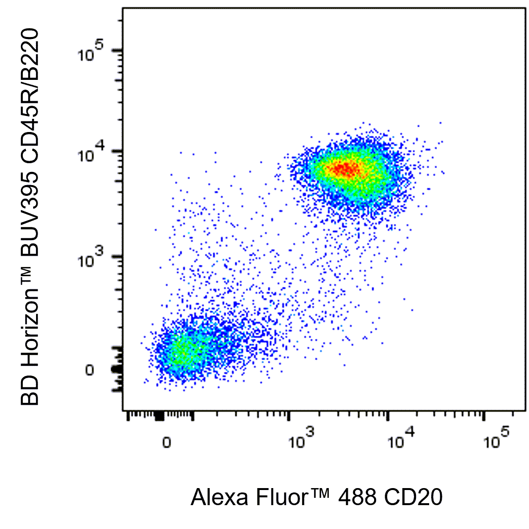 BD Alexa Fluor 488 Rat Anti-Mouse CD20