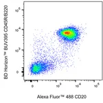 BD Alexa Fluor 488 Rat Anti-Mouse CD20