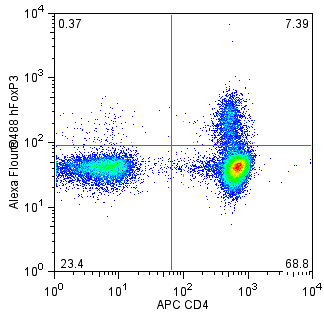 BD Alexa Fluor® 488 Mouse anti-Human FoxP3