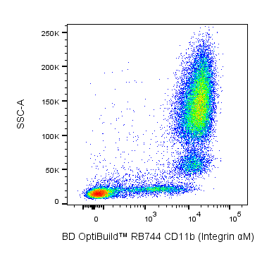 BD RB744 Mouse Anti-Human CD11b