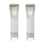 BD Mouse IL-10 ELISPOT Pair