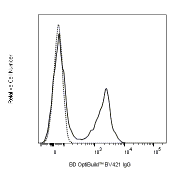 BD BV421 Mouse Anti-Syrian Hamster IgG2