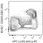 BD BV421 Rat Anti-Mouse CD205 (DEC-205)