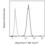BD Alexa Fluor 488 Rabbit Anti-Human GLUT1