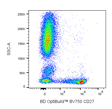BD BV750 Mouse Anti-Human CD27