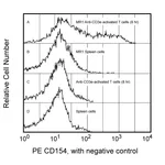 BD PE Hamster Anti-Mouse CD154