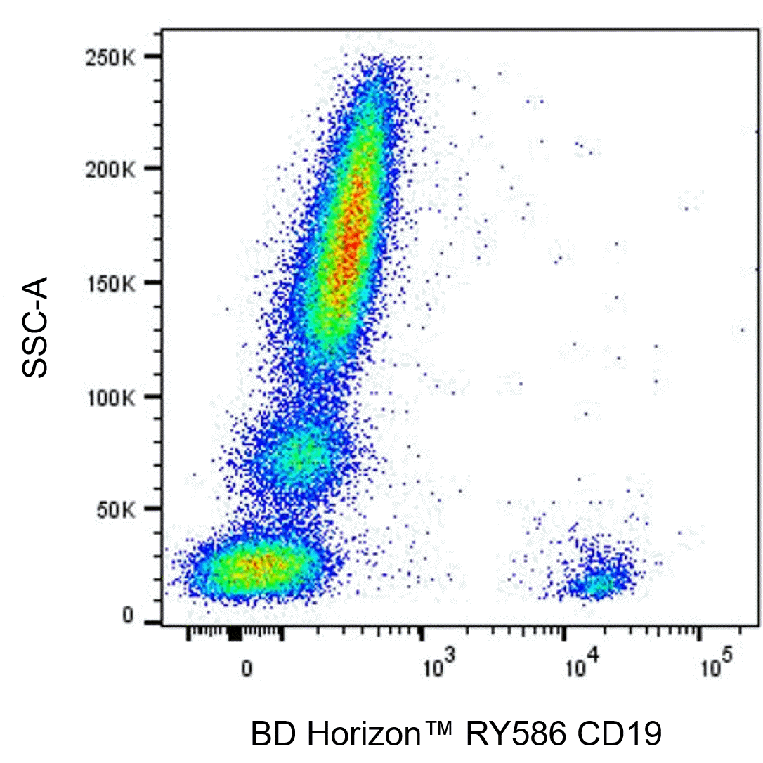 BD RY586 Mouse Anti-Human CD19