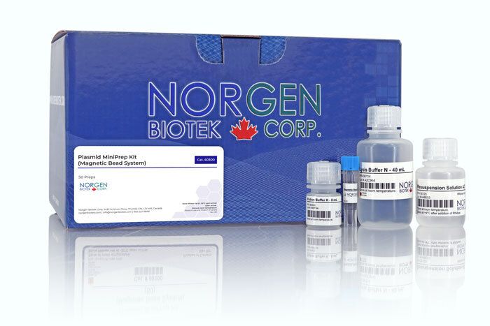 Norgen Plasmid MiniPrep Kit (Magnetic Bead System)