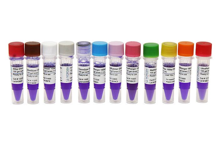Norgen MidRanger 1 kb DNA Ladder