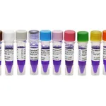 Norgen MidRanger 1 kb DNA Ladder