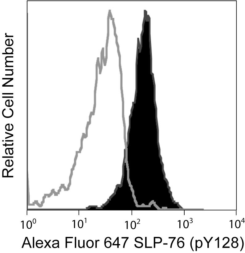 BD Alexa Fluor® 647 Mouse anti-SLP-76 (pY128)