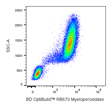 BD RB670 Mouse Anti-Human Myeloperoxidase