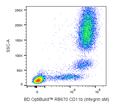 BD RB670 Mouse Anti-Human CD11b (Integrin αM)